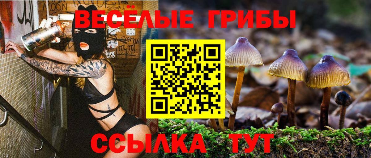 Калач-на-Дону  Псилоцибиновые грибы Psilocybine cubensis  Псилоцибиновые грибы ЛСД  Вход с VPN 