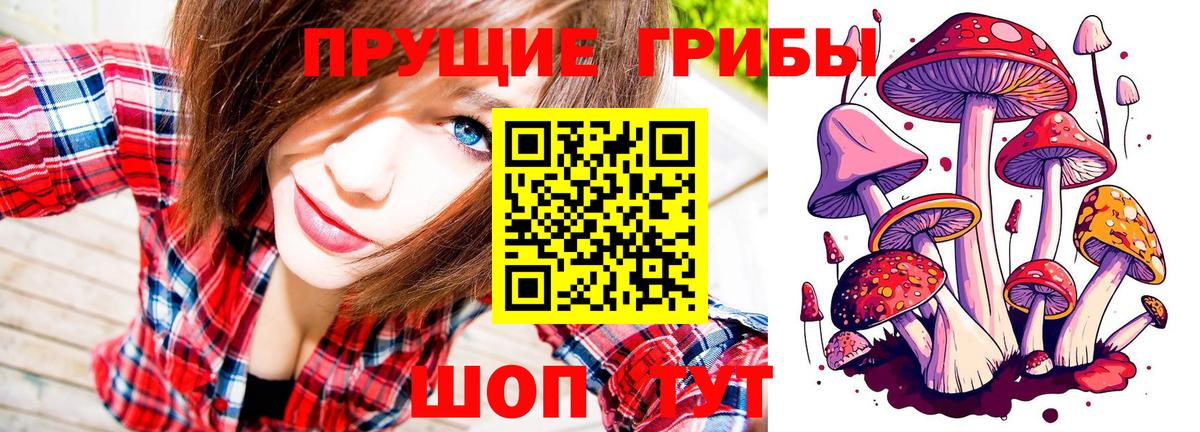Псилоцибиновые грибы Psilocybine cubensis Калач-на-Дону